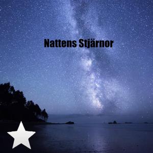 Nattens Stjärnor