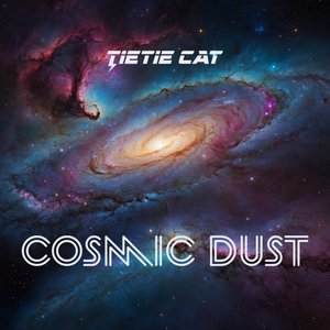 Cosmic Dust