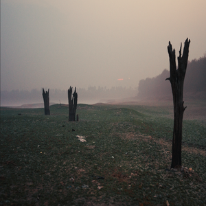 格子间里看手机