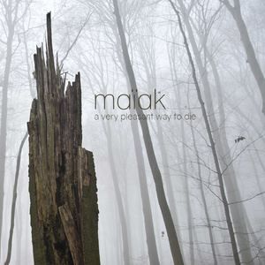 A Very Fond Poster Girl for Tatmadaw