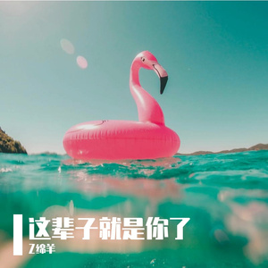 这辈子就是你了