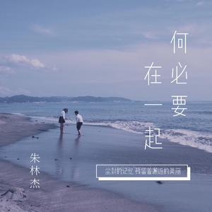 何必要在一起（翻自 张杰）