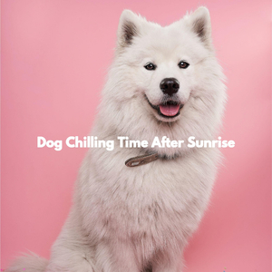 Modern Limitless Creativities