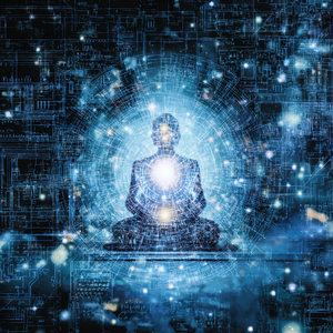 Rejuvenating Shoreline Solace