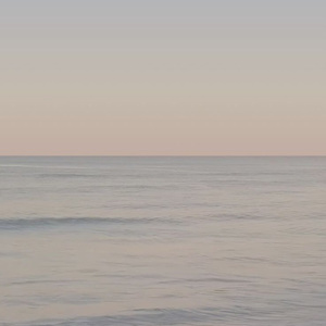 奇妙能力歌.cover