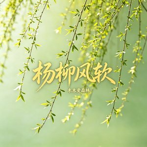 杨柳风软