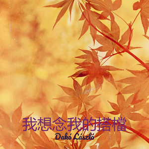 我想念我的搭檔