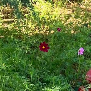 HER(她)+今夜别再抵赖