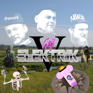Gay Elektrik V