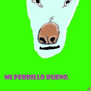 Mi perrillo bueno.