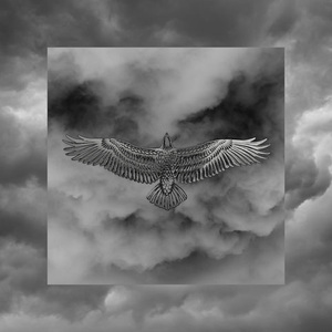 Птах (перша версія) (Demo)