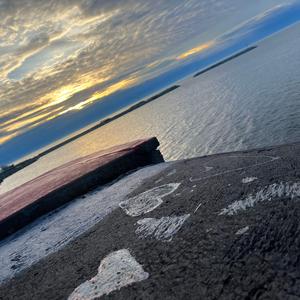 d.y.l.f. pickles n jam