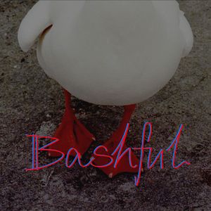 Bashful(Prod.Trai5or& Nocky)