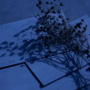 枕 旁 有 发 霉 的 梦