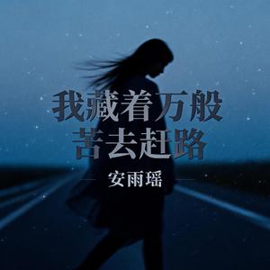 我藏着万般苦去赶路