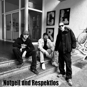 Notgeil und Respektlos (feat. Helmut Hustle & Tonikk)