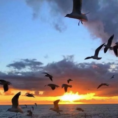 慢慢摇慢慢嗨 (DJ版)