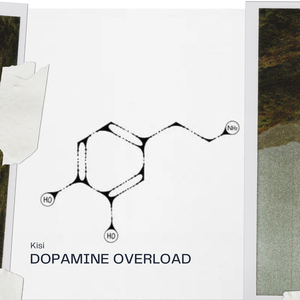 Dopamine Overload