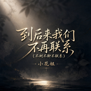 到后来我们不再联系(不删不聊不联系)