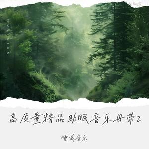 闪着微光的萤火虫-助眠音乐