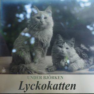 Affären