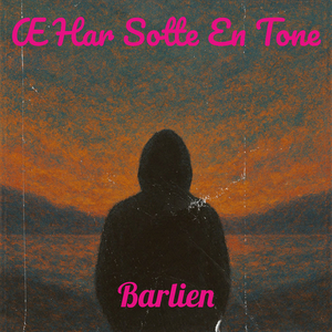 Æ Har Sotte En Tone