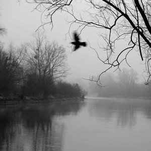 Sweet Little Bumblebee (Hardstyle)