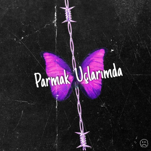 Parmak Uçlarımda