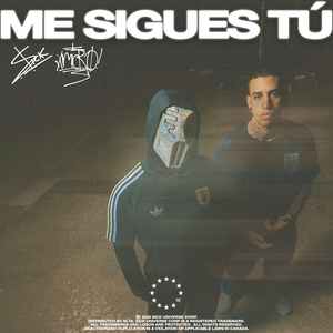 Me Sigues Tú