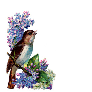 Passacaille (G. F. Handel)