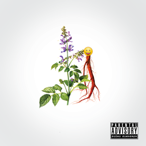 【FREE】“丹参快乐” Comedy Rap Type Beat