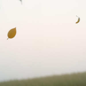 走らなくても 何者じゃなくても 「君」が もう存在の答えだった