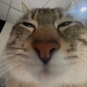 million dollar baby (vhs) (slowed)