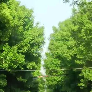 蓝色天空