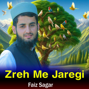 Zreh Me Jaregi