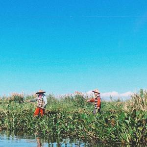 mee khudingmakki nungshi wari