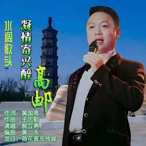 水调歌头·凝情寄兴醉高邮