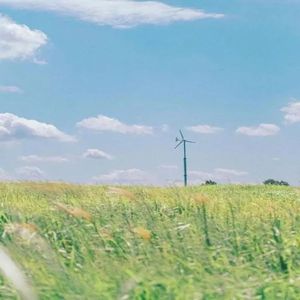 宝宝的温柔乡（胎教音乐）