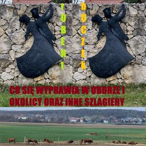 Zdzicho poskramiacz wściekłych byków (głównie dyskotekowych)