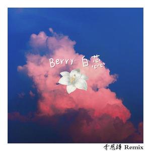 李佳隆-Berry（李恩泽 remix）