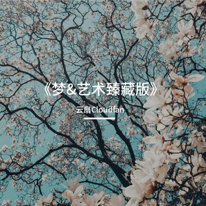你梦《艺术臻藏版》别名：Your Dream