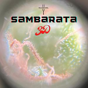 Sambarata (feat. 3D)