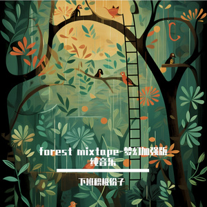 forest mixtape-梦幻加强版纯音乐