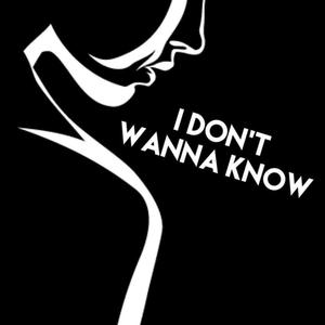 I Don't Wanna Know