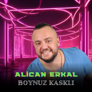 Boynuz Kasklı