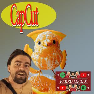CapCut