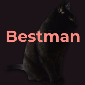 Bestman