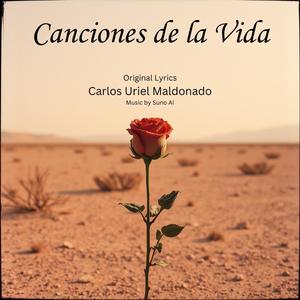 No Me Haces Falta A Mi