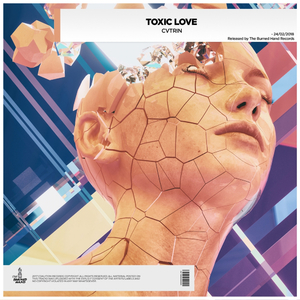 Toxic Love (Original Mix)