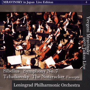 The Nutcracker, Op.71 - Excerpts No.6: Departure of the Guests. Night